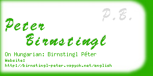 peter birnstingl business card
