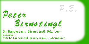 peter birnstingl business card